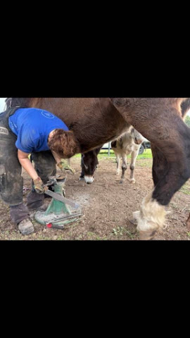 Working under a heavy horse